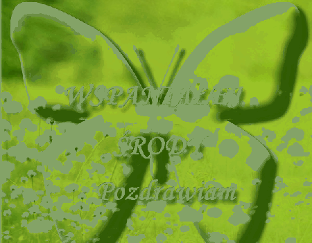 Zielony motylek pozdrawia w środę